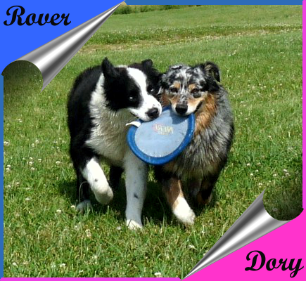 Rover with Dory